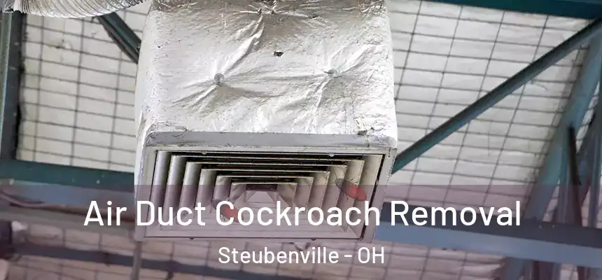  Air Duct Cockroach Removal Steubenville - OH