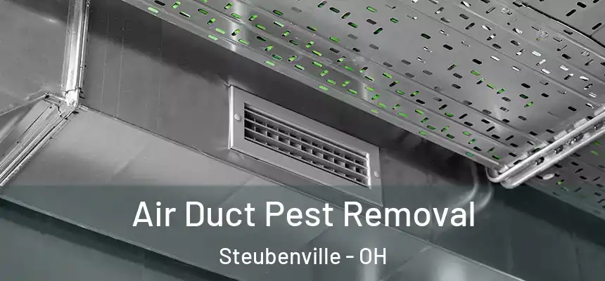 Air Duct Pest Removal Steubenville - OH