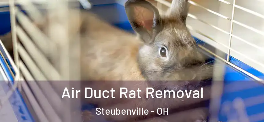  Air Duct Rat Removal Steubenville - OH