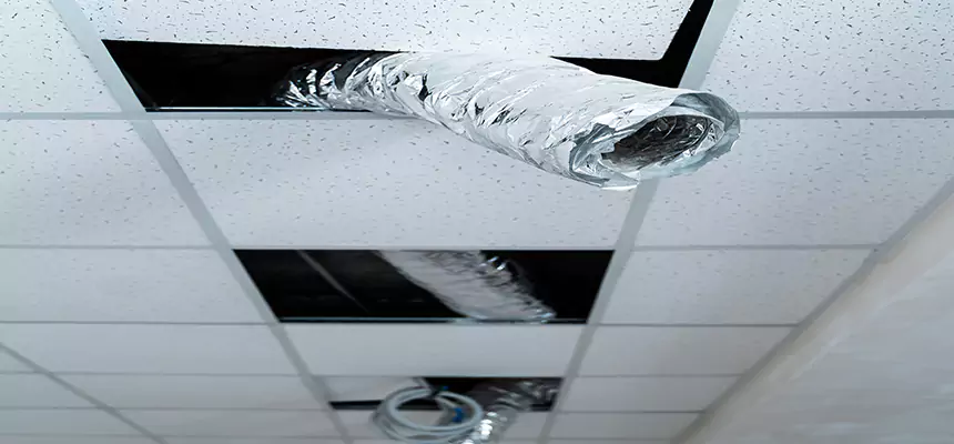 Our Air Duct Pet Hair Removal Services in Steubenville, OH