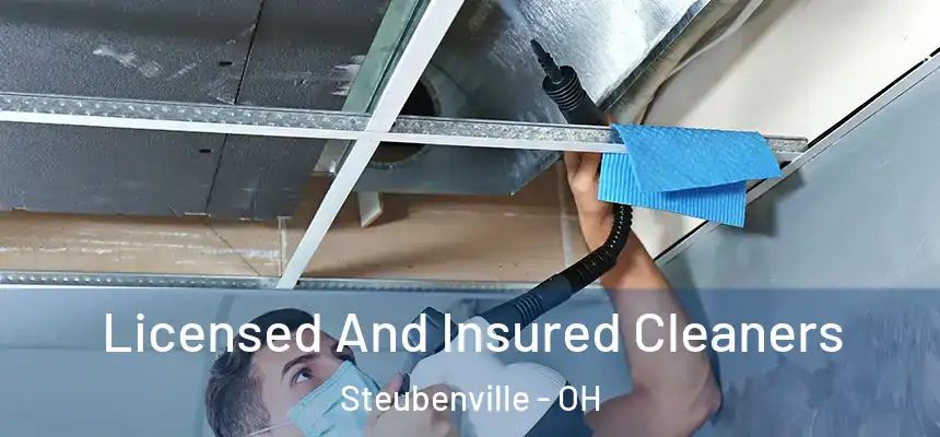  Licensed And Insured Cleaners Steubenville - OH