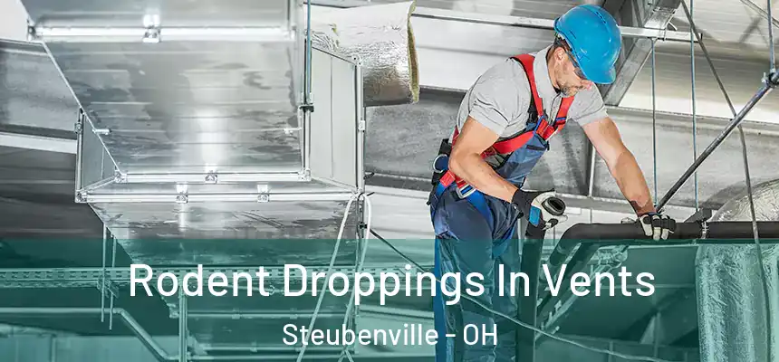  Rodent Droppings In Vents Steubenville - OH