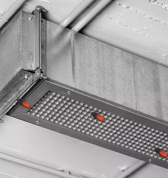 About Air Duct Cockroach Removal in Steubenville, OH