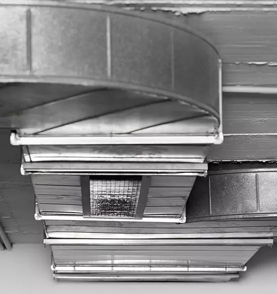 Professional Air Duct Pest Removal in Steubenville, OH