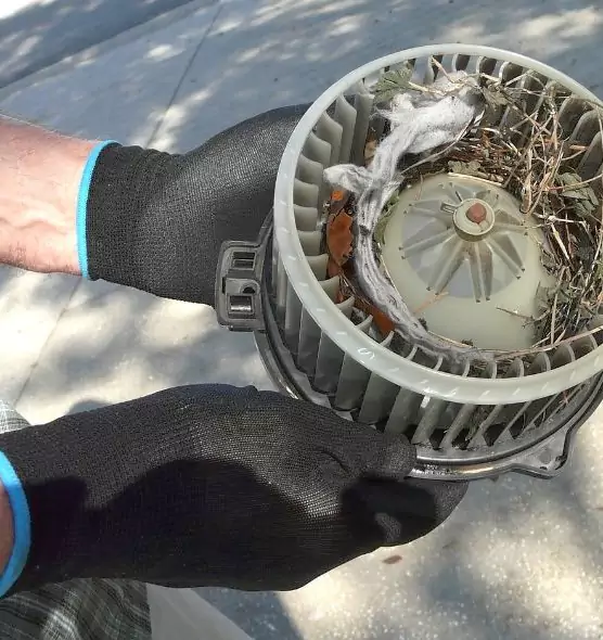 About Air Duct Rat Removal in Steubenville, OH