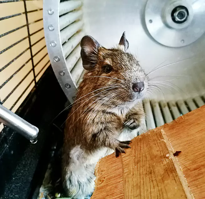 Why Homeowners & Businesses Trust Us Steubenville, OH